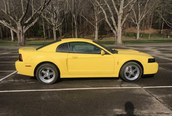 2003 Ford Cobra SVT Terminator for sale in Other, NY – photo 2
