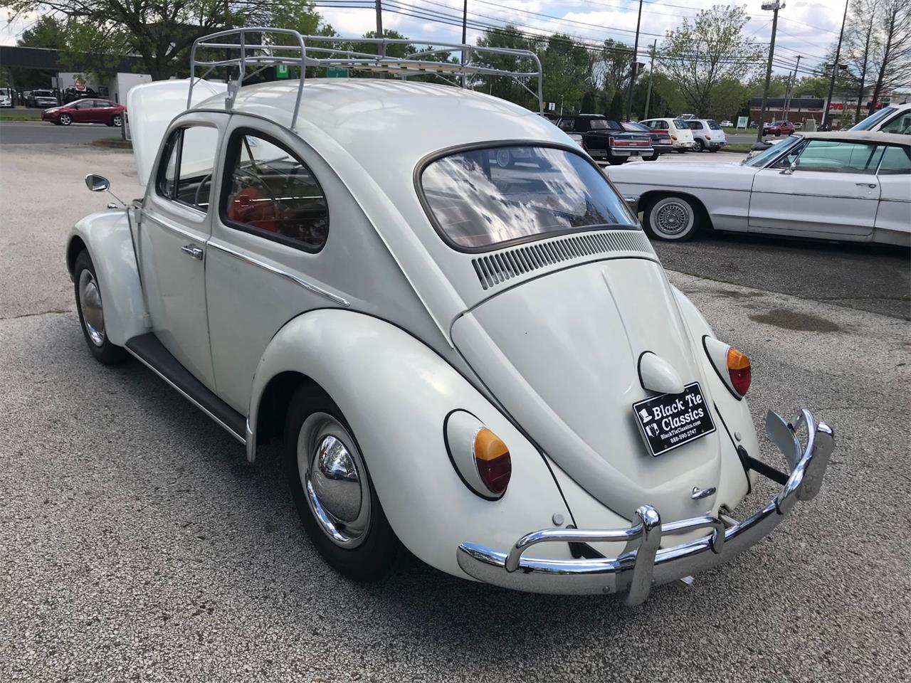 1963 Volkswagen Beetle for sale in Stratford, NJ – photo 5