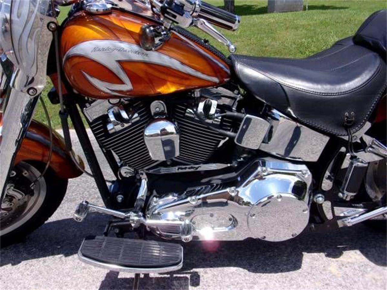 2001 Harley-Davidson Fat Boy for sale in Cadillac, MI – photo 2