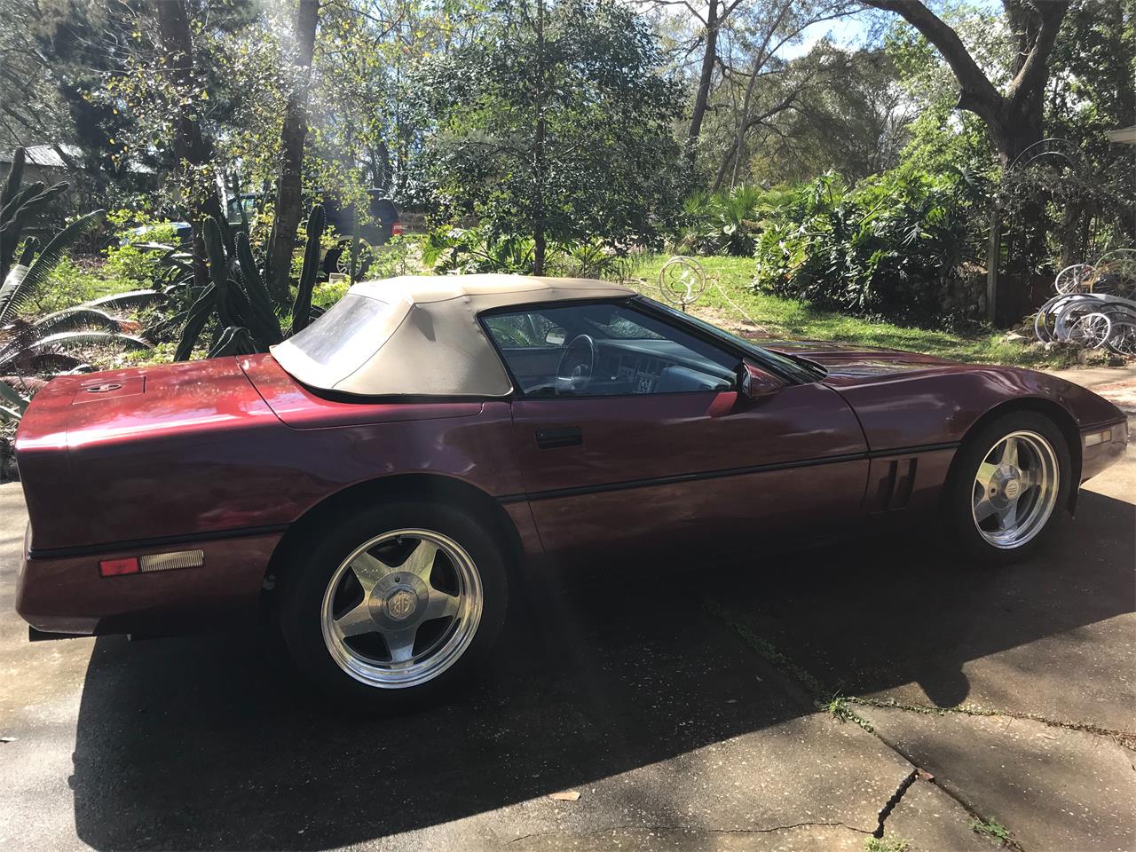 1987 Chevrolet Corvette for sale in Mt. Dora, FL – photo 5