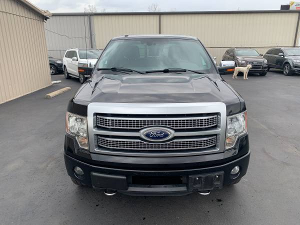 2011 Ford F-150 Platinum 4WD Supercrew Pickup F150 for sale in Jeffersonville, KY – photo 3