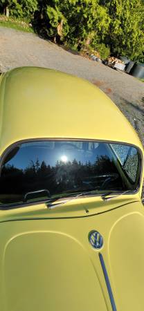 1965 Volkswagen Beetle for sale in Mount Vernon, WA – photo 7