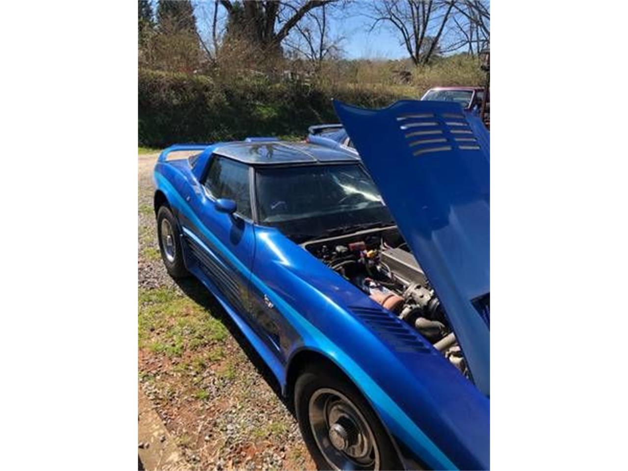 1979 Chevrolet Corvette for sale in Cadillac, MI – photo 22