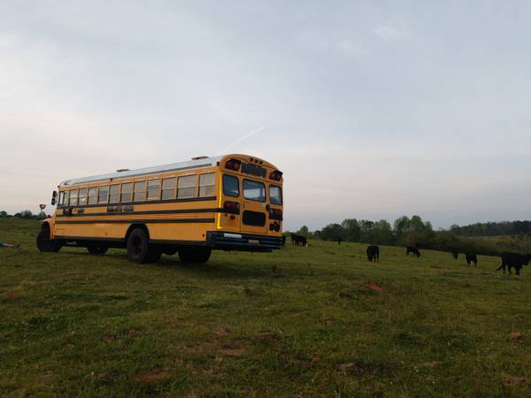 1999 Blue Bird Bus for sale in West Point, AL – photo 2