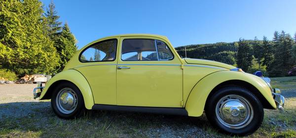 1965 Volkswagen Beetle for sale in Mount Vernon, WA – photo 4