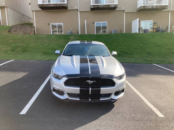2017 Ford Mustang v6 for sale in Morgantown , WV – photo 14