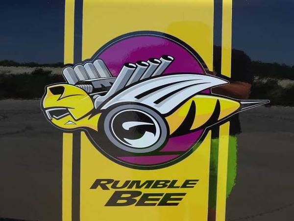 2004 Dodge Ram Rumble Bee Pickup for sale in Other, IL – photo 5