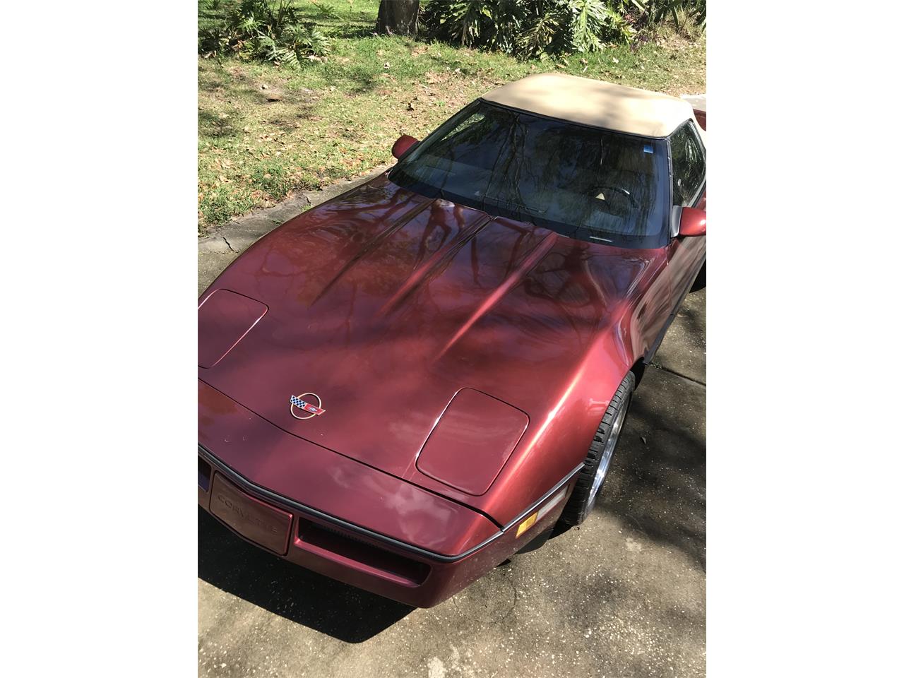 1987 Chevrolet Corvette for sale in Mt. Dora, FL – photo 2