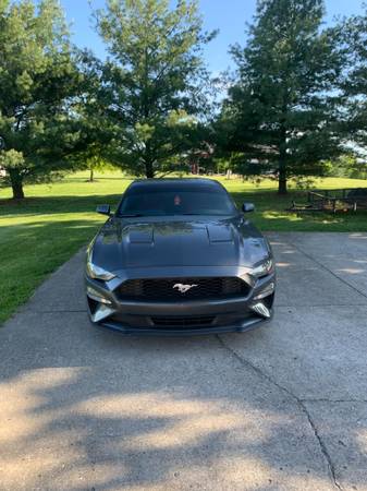 2018 Ford Mustang for sale in Lebanon, KY – photo 2