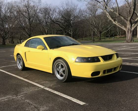 2003 Ford Cobra SVT Terminator for sale in Other, NY – photo 3